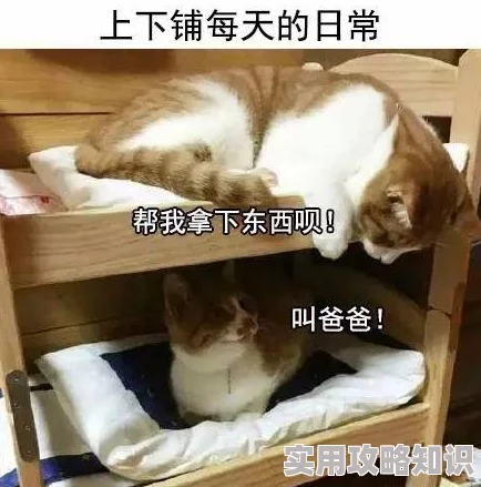 一不小心成了室友们的团宠怀孕被裁后夏小姐杀疯了(你骂我是黄脸婆离了我你哭什么)勇敢面对挑战重拾自信与希望 一不小心成了室友们的团宠怀孕被裁后夏小姐杀疯了(你骂我是黄脸婆离了我你哭什么)勇敢面对挑战重拾自信与希望