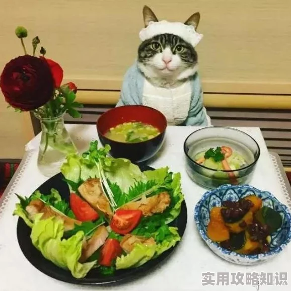 男男厨房play预制菜烹饪大赛火热报名中 男男厨房play预制菜烹饪大赛火热报名中