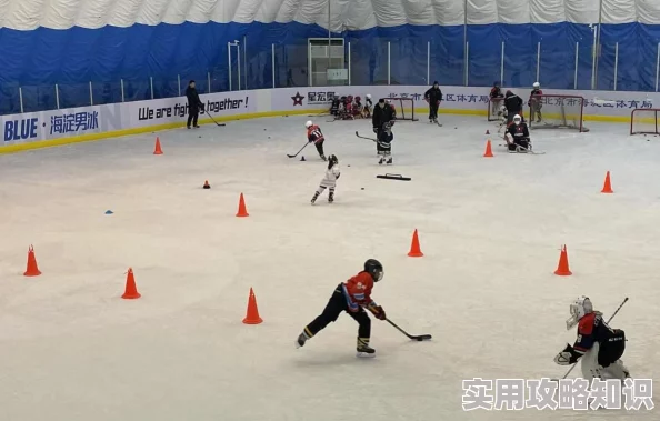 黄金网站app观看大全2025全新版本上线高清免费流畅观影体验 黄金网站app观看大全2025全新版本上线高清免费流畅观影体验